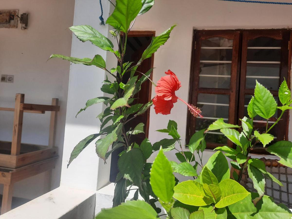 Ames Nungwi Bed & Breakfast Екстериор снимка