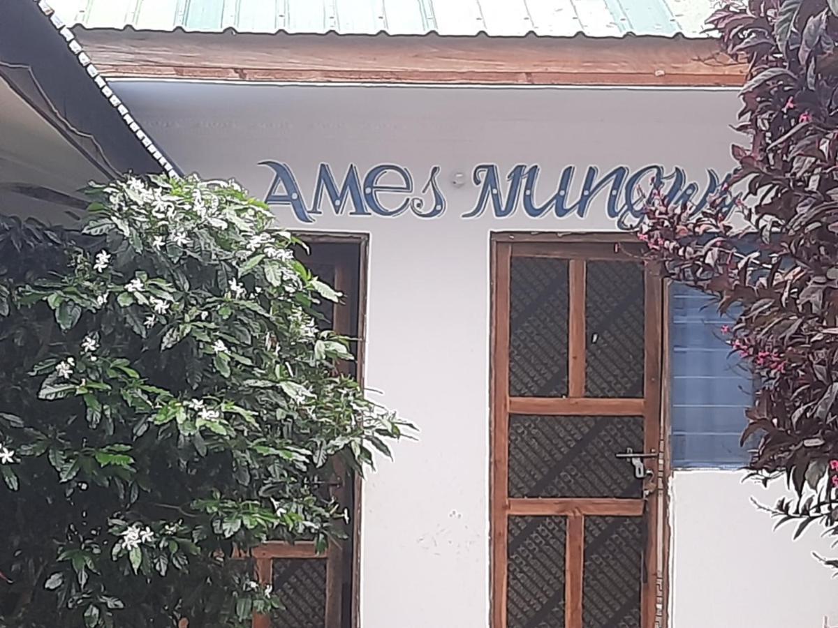 Ames Nungwi Bed & Breakfast Екстериор снимка