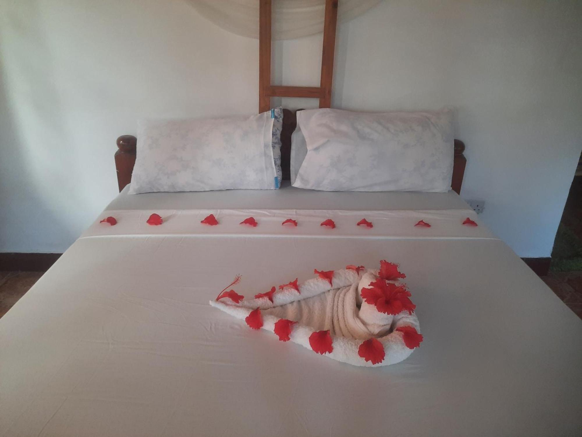 Ames Nungwi Bed & Breakfast Екстериор снимка